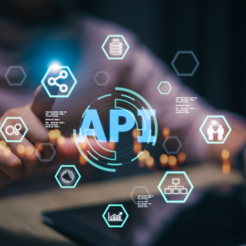 API development